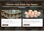 build a stunning wordpress website with elementor